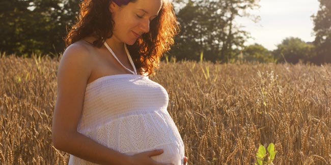 Pregnancy Week 38 – Pregnancy Week by Week Development